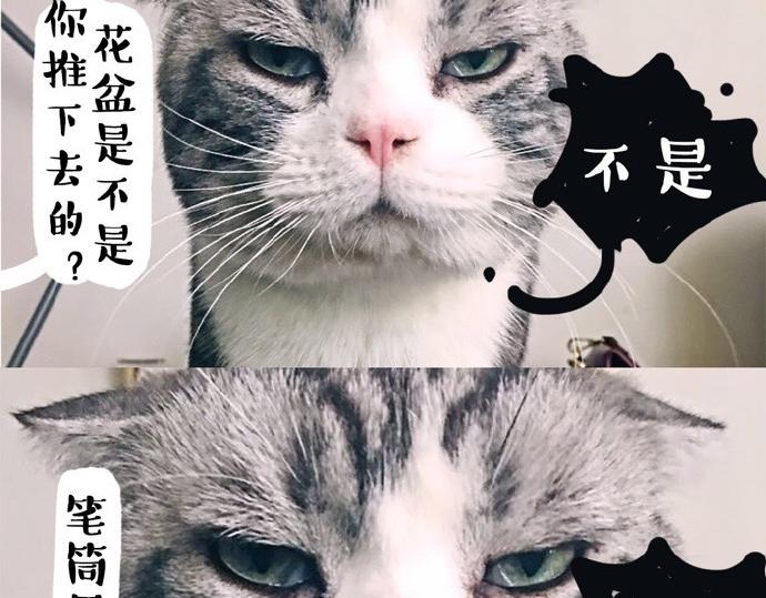 第26话 犯错你会卖萌求原谅吗12