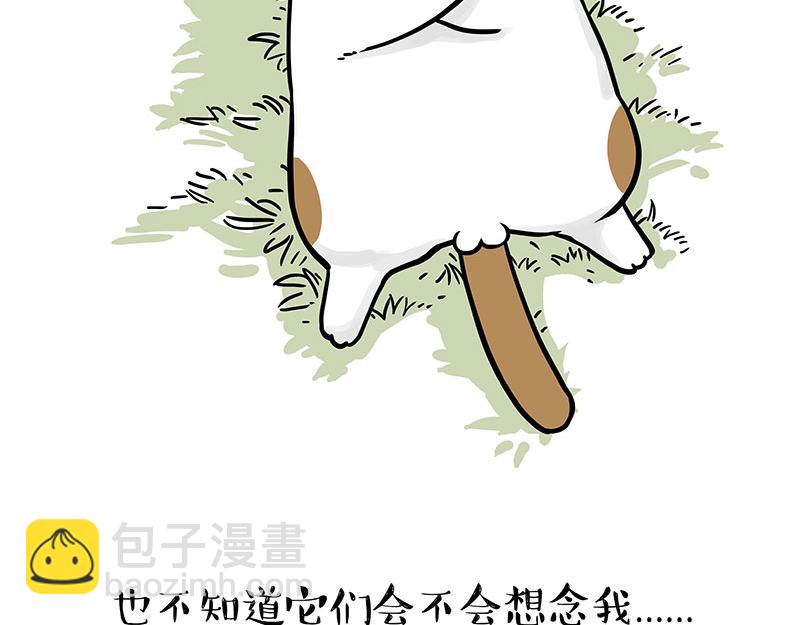 第339话 傲霸，上岸了！66