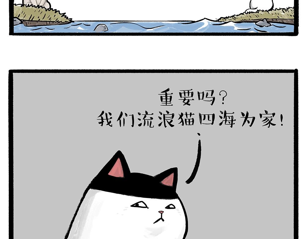 第331话 猫王争霸之“杀青”49