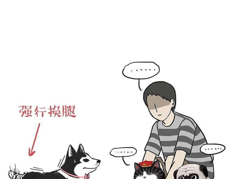 第160话 最差的一届哈士奇！52