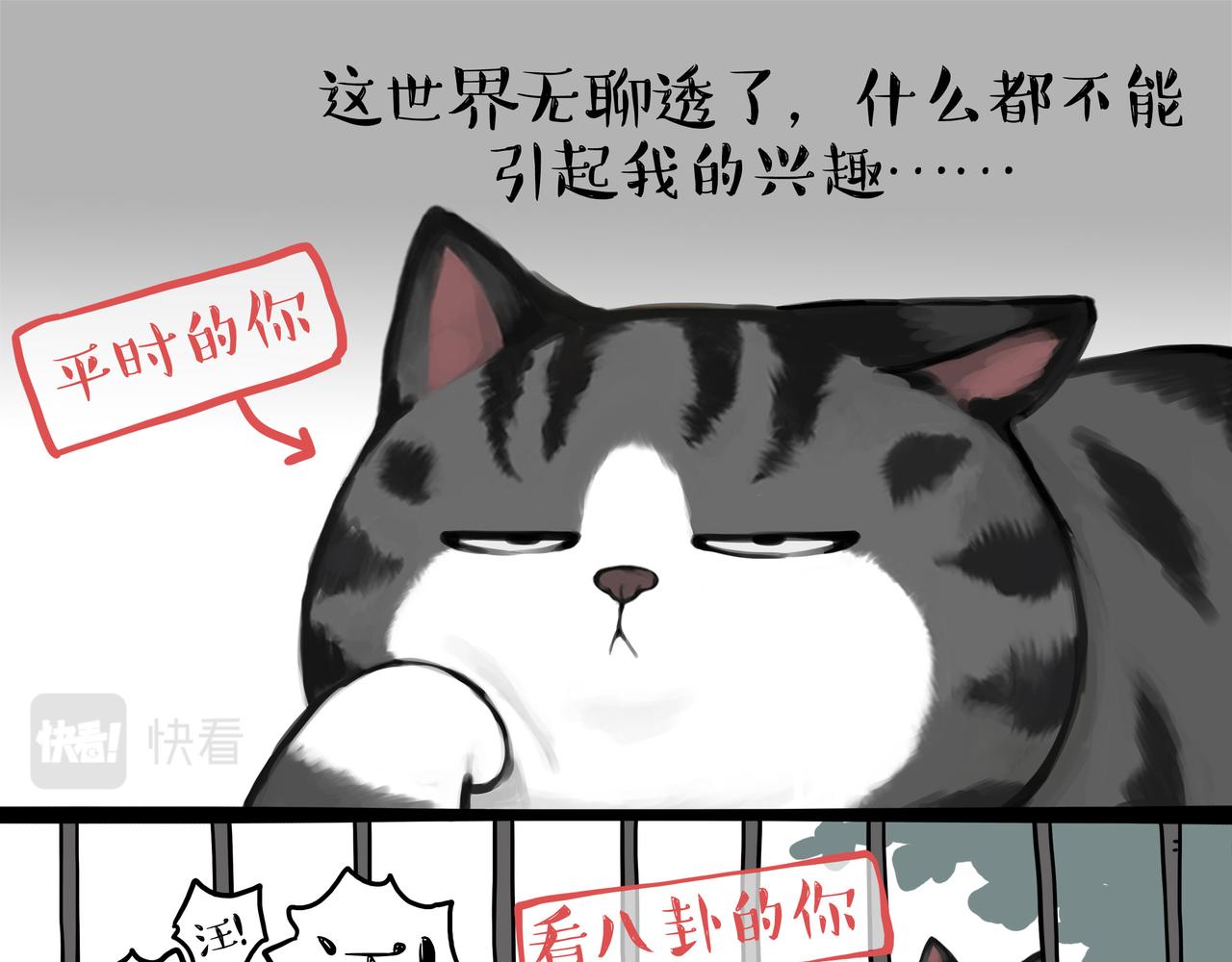 第356话 “吾没有错”13