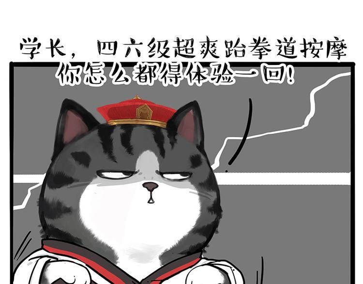 第231话 防骗指南24