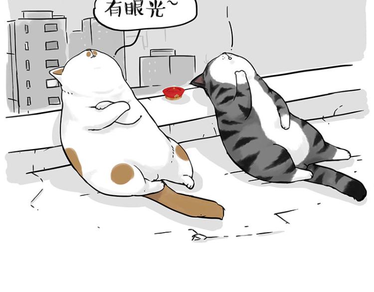 第291话 好兄弟，一辈子80