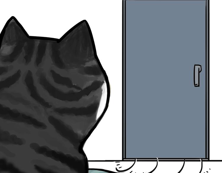 第51话 猫和狗的待遇就是不同20