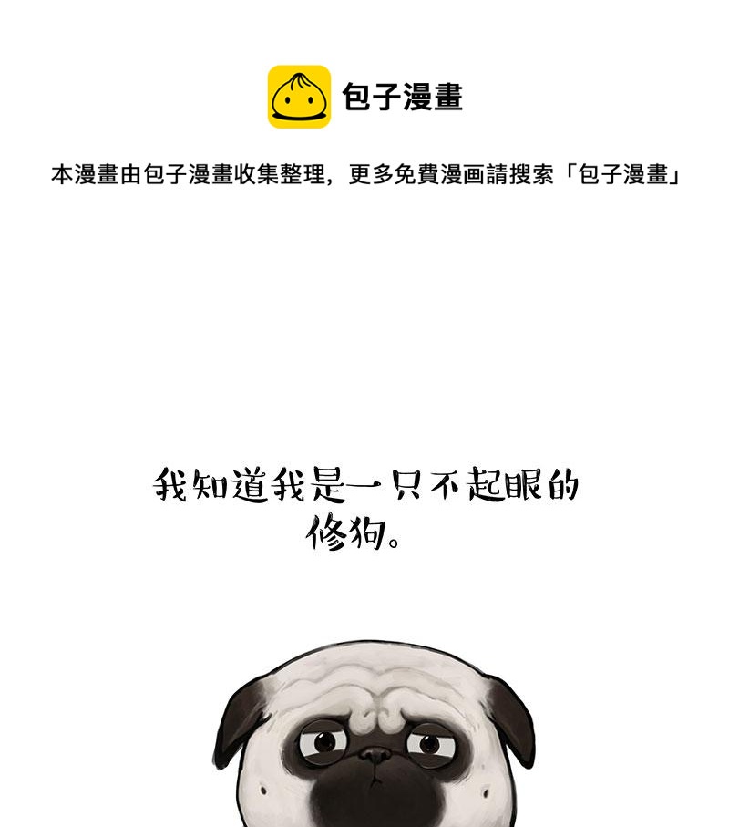 第357话 巴扎黑的智慧0