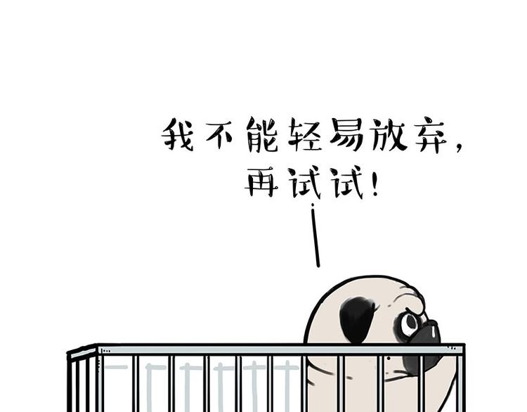 第176话 不要打扰我追求自由10