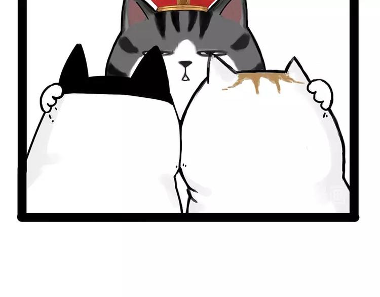 第167话 猫王争霸赛50