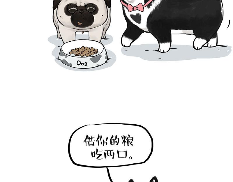 第358话 都是错觉1