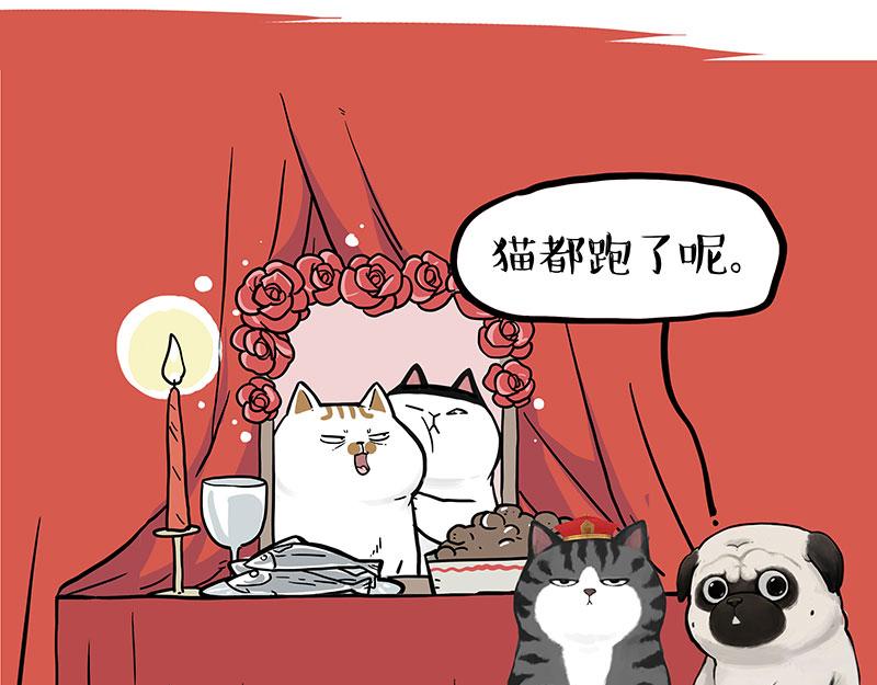 第336话 “告别”仪式52
