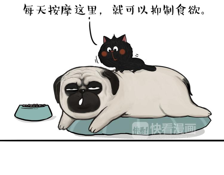 第114话 一只狗25