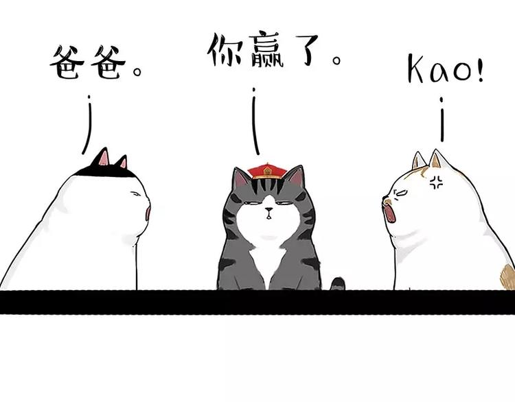 第167话 猫王争霸赛34