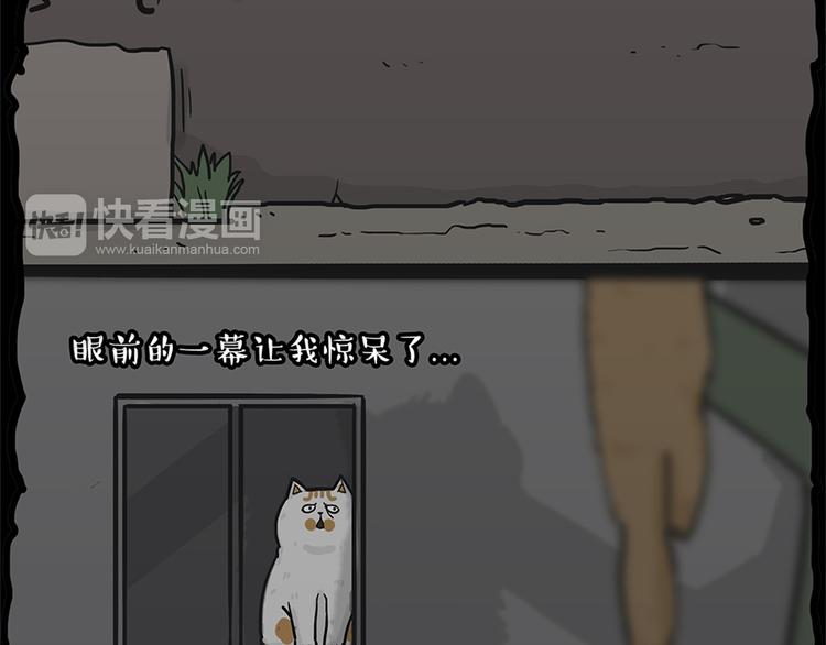 第58话 流浪生活34