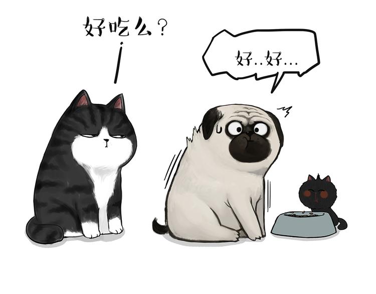 第51话 猫和狗的待遇就是不同12