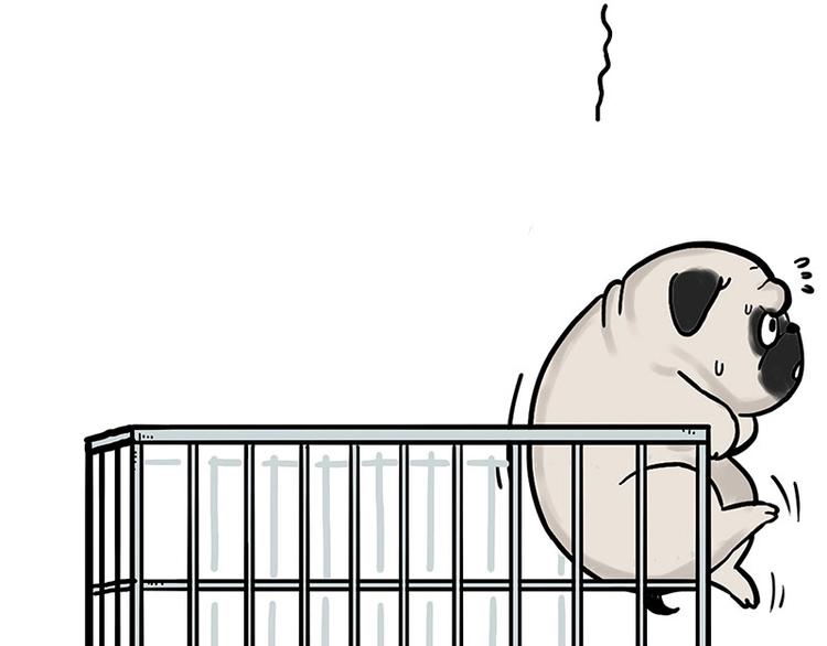 第176话 不要打扰我追求自由6