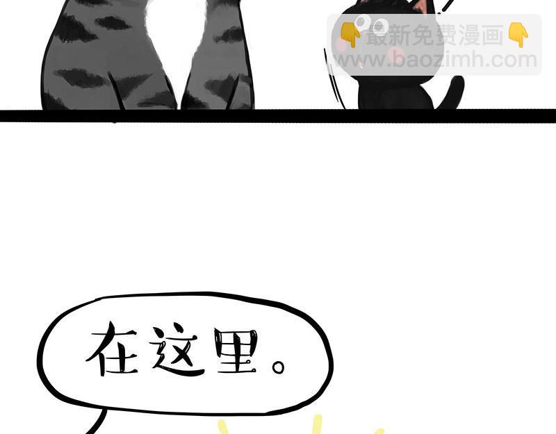 第359话 猫洛芬30