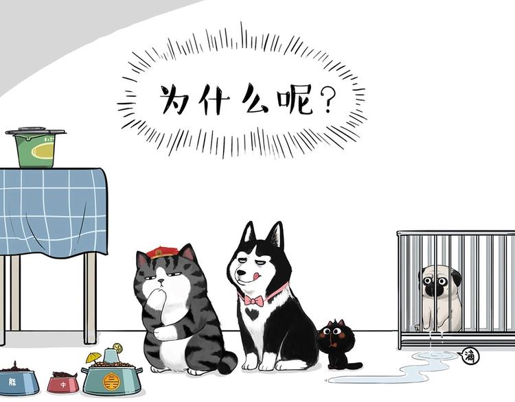 第202话 谁动了吾皇的猫粮62