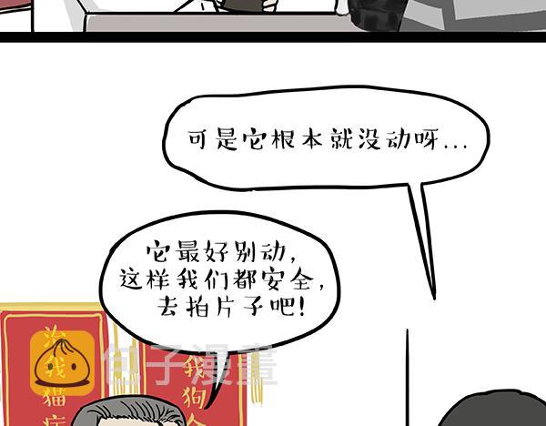第78话 带宠物看病（上）6
