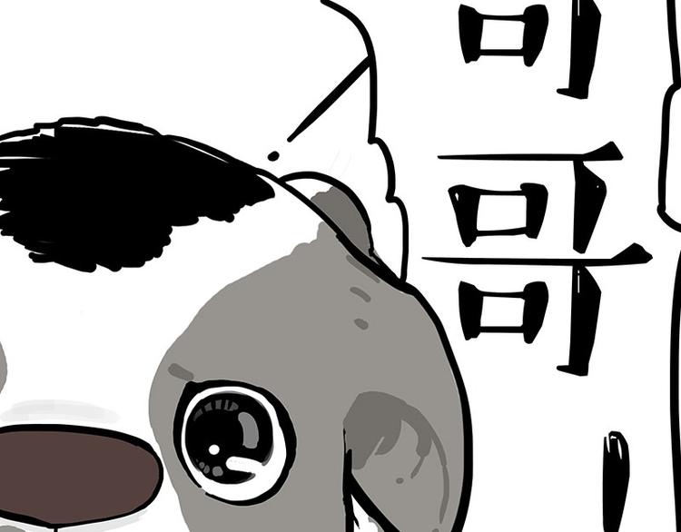 第271话 进击的流浪猫！27
