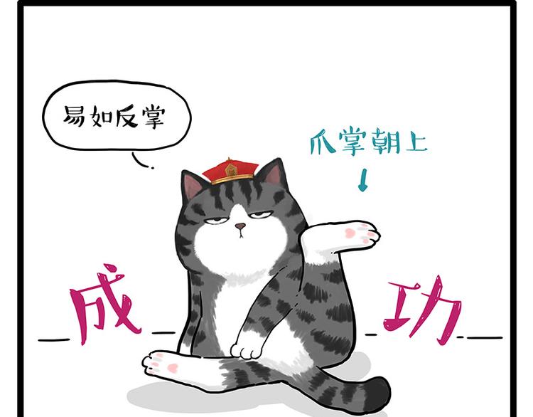 第250话 不择手段19