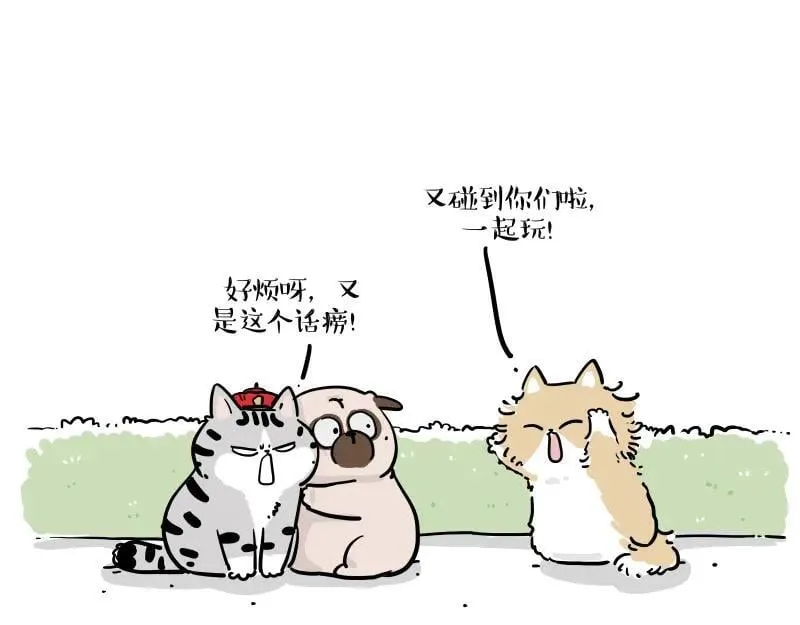 第424话 话痨小猫4