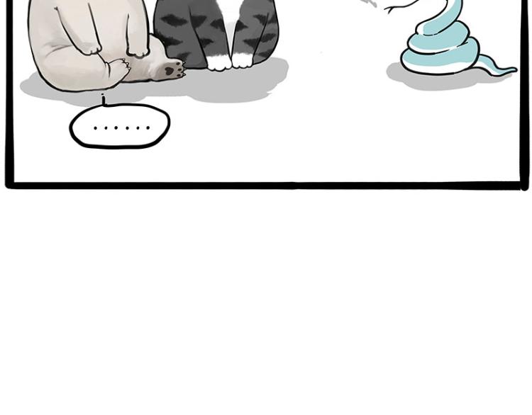 第286话 动物世界22