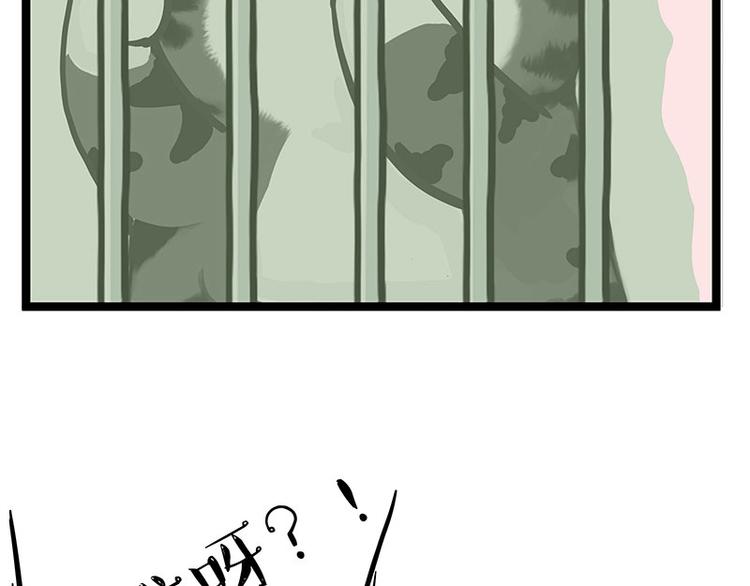 第284话 美喵竟是我自己64