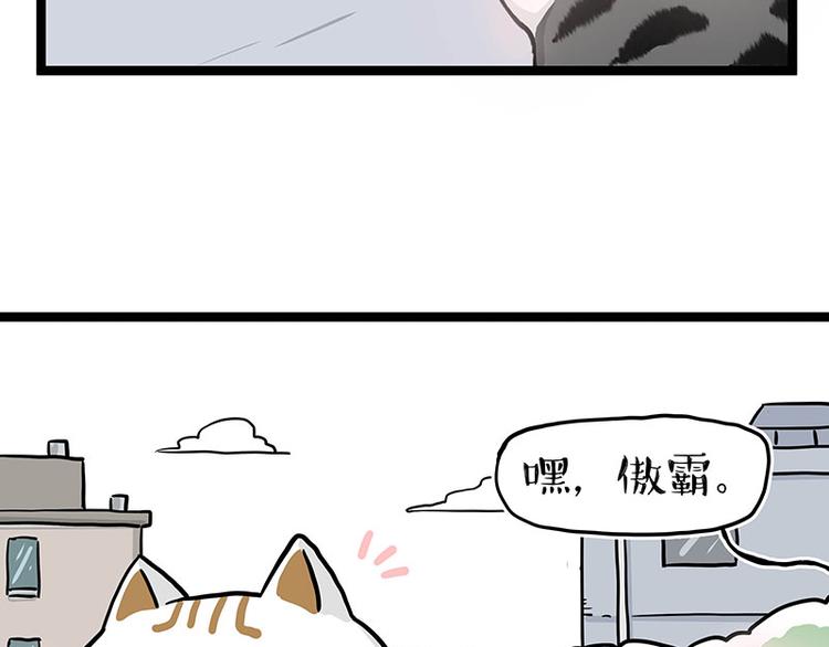第284话 美喵竟是我自己11
