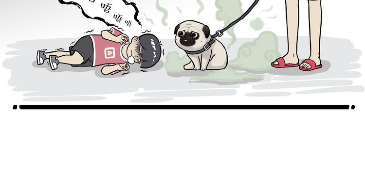 第282话 型男（猫）49