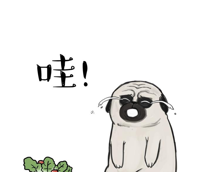 第81话 减肥之苦30