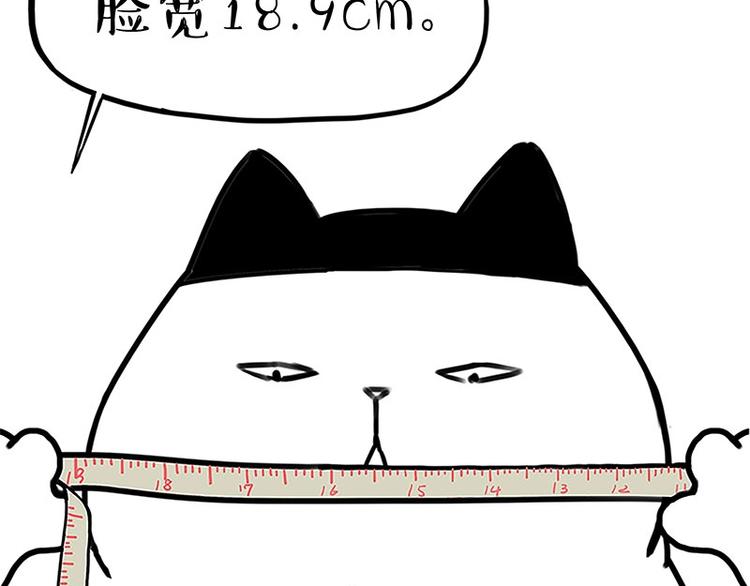 第167话 猫王争霸赛29