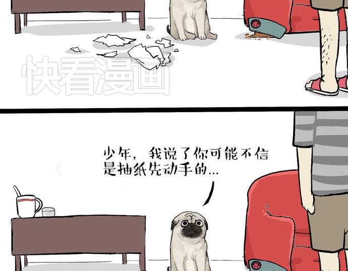 第29话 就算高考也要铲屎31