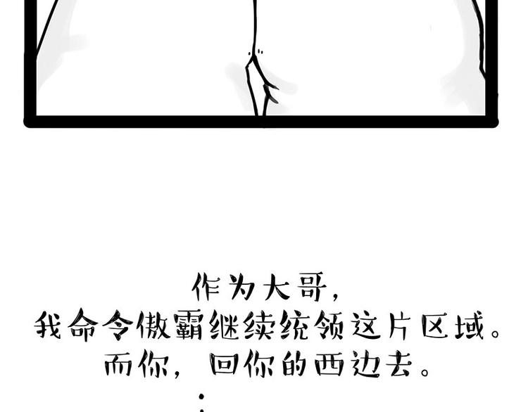第167话 猫王争霸赛55