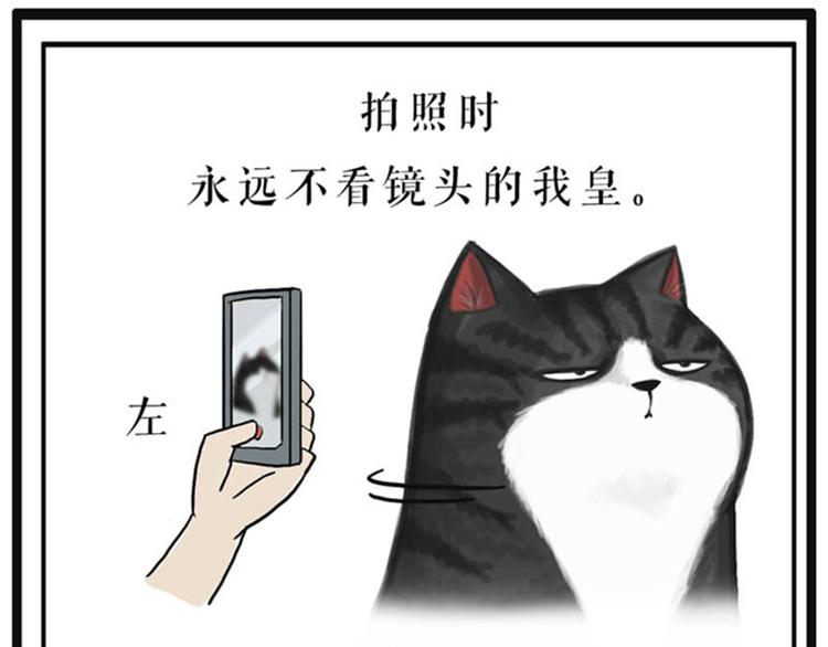 第37话 今天，你优雅了吗30
