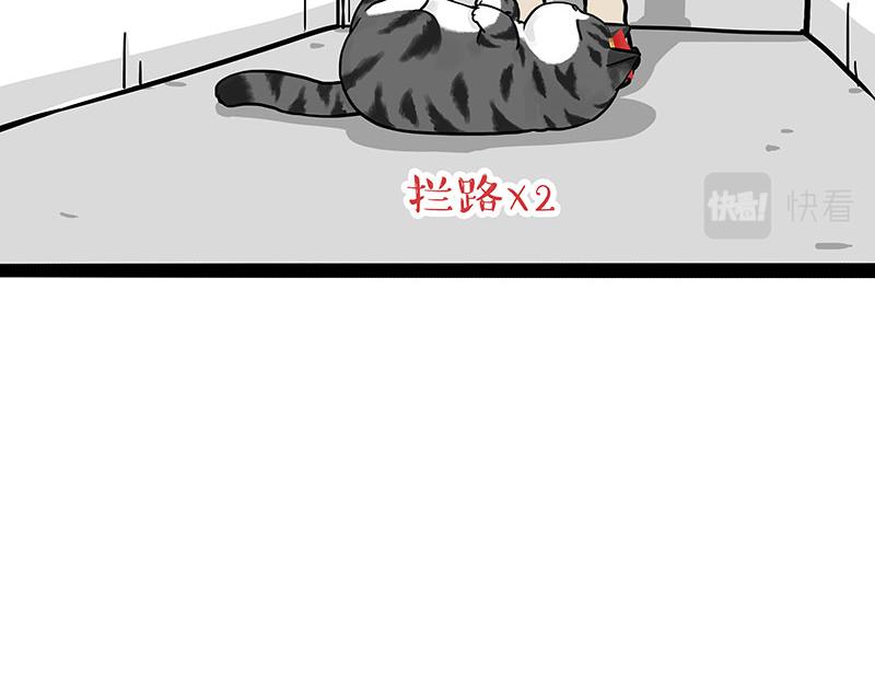 第297话 无处不在拦路猫4