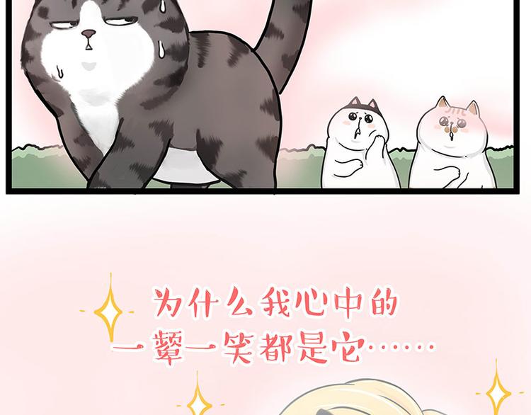 第284话 美喵竟是我自己22