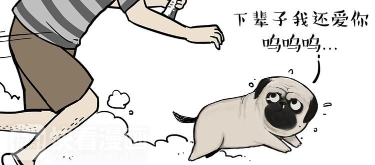 第52话 宠物的使命14