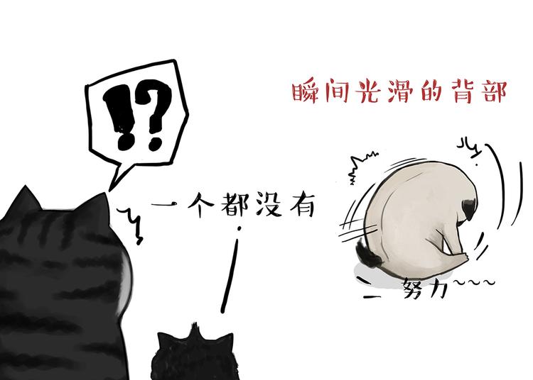第51话 猫和狗的待遇就是不同6