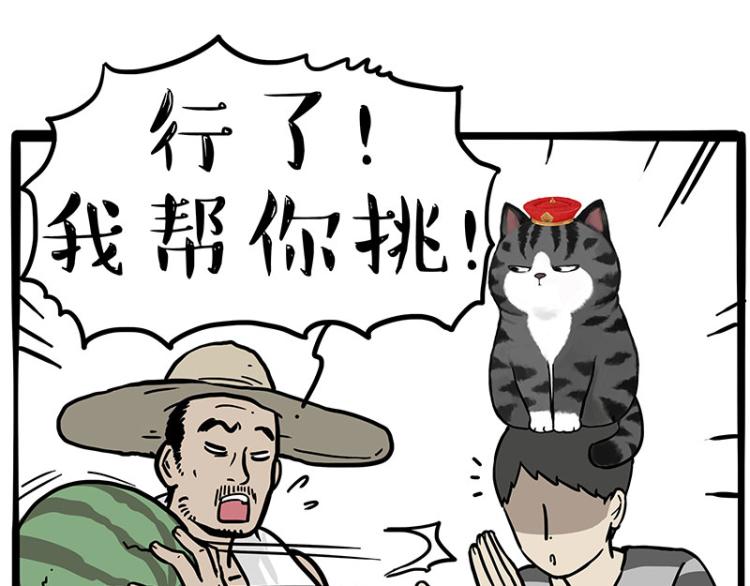 第285话 用四招4：0稳赢12