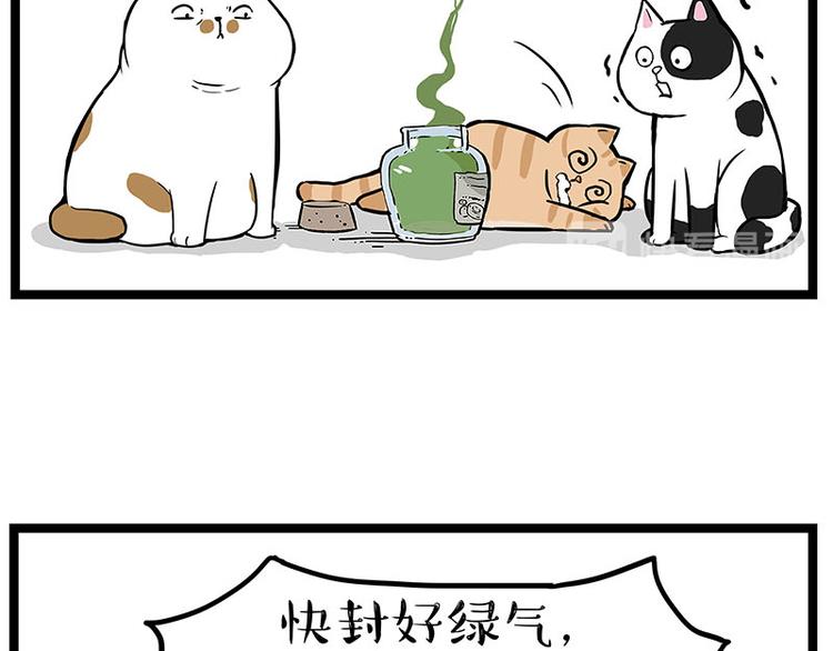 第239话 “屁”的战争16