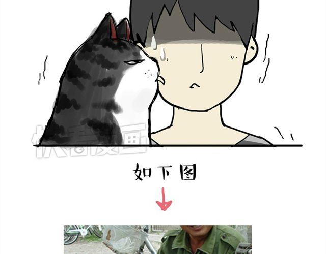 第15话 猫引发的朋友圈惨案13