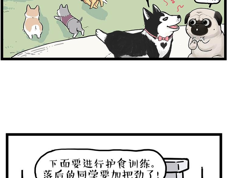 第280话 狗上学45