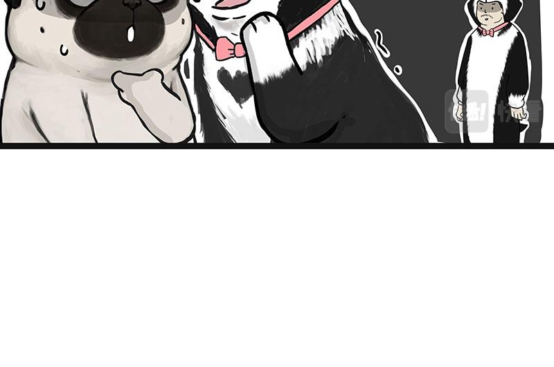 第301话 离谱小妙招28