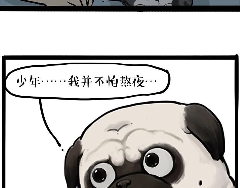 第395话 流星灵得很9