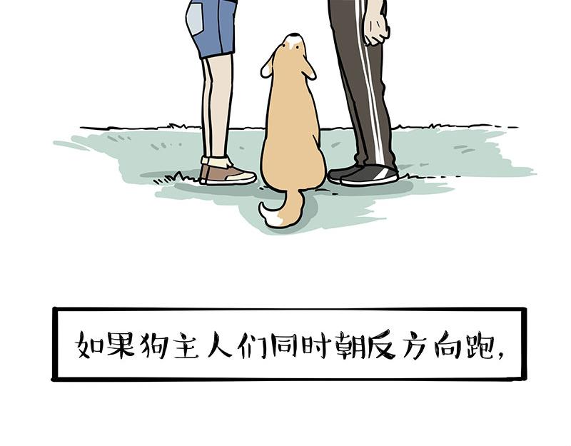 第318话 这狗没白养1