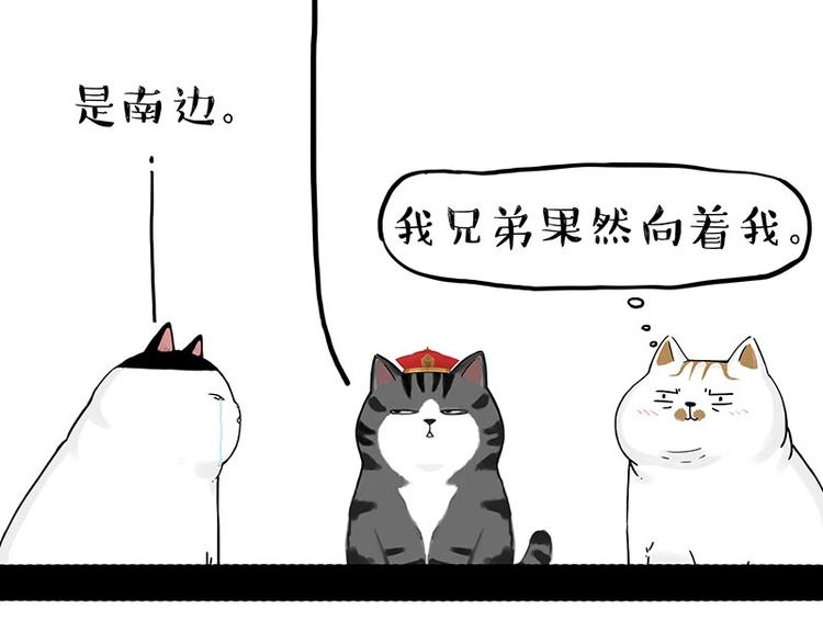 第167话 猫王争霸赛56