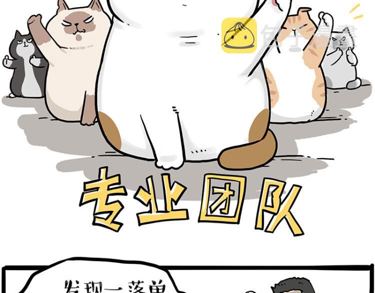 第290话 凶恶猫猫组织1