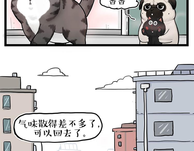 第284话 美喵竟是我自己8