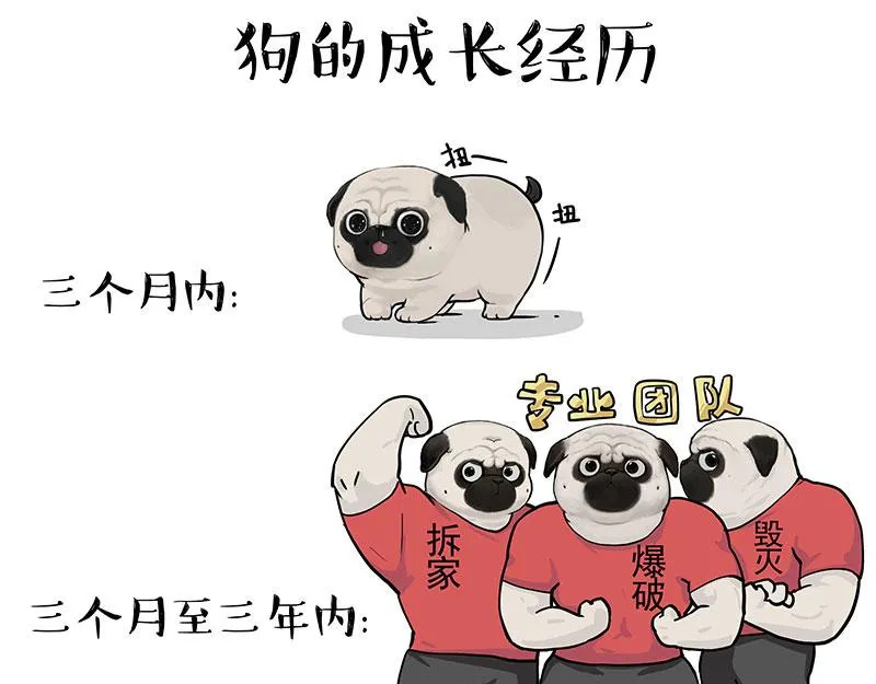 第376话 第一次做人8