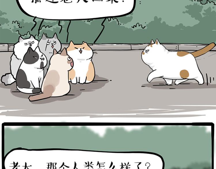 第290话 凶恶猫猫组织63