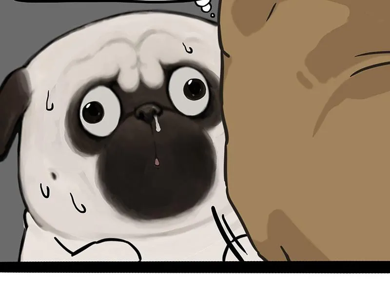 第375话 偶遇恶犬11
